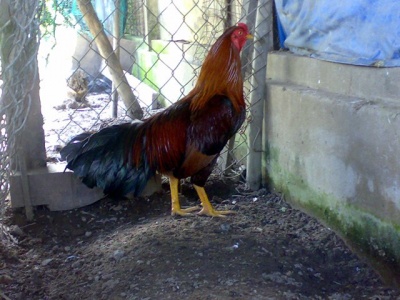 250720091050