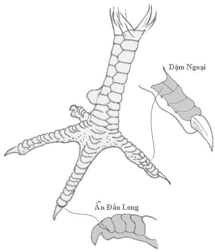 Xem-Vay-GA-Noi http://www.pic2fly.com/Xem-Vay-GA-Noi.html