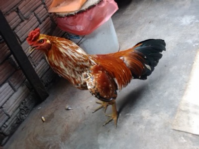 IMAG0205