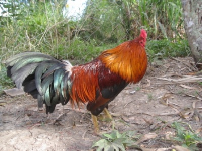 IMG 0776