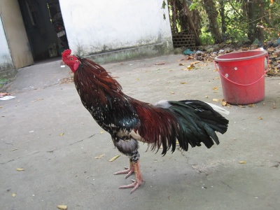 IMG 1938