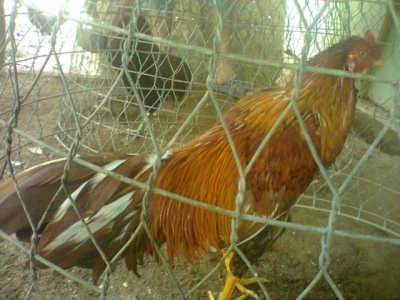 Photo0329 640x480